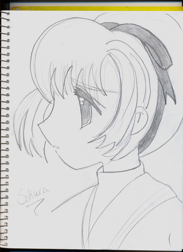 sakura