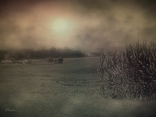 October Shroud