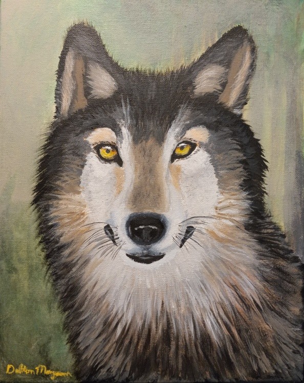 Wolf in the Fog