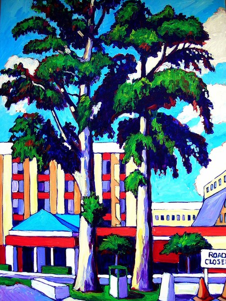 Mrs. Douglas's Cypress Trees