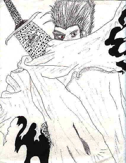 Vash the stampede