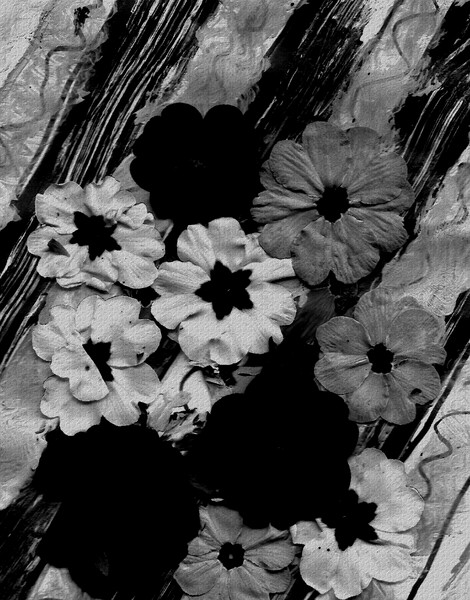 Its Raining Flowers