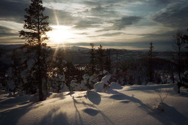 Winter morning 2 in January 1997