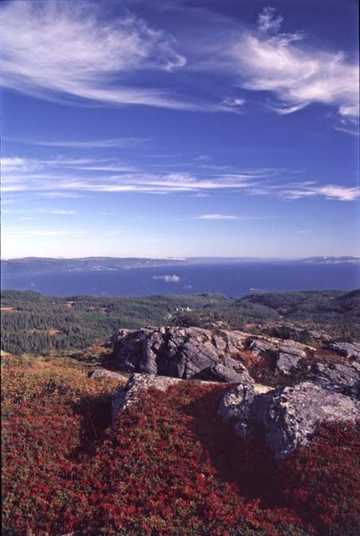 View to the Fjord