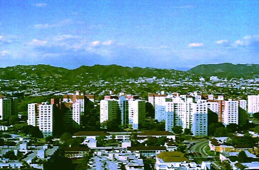 Window View