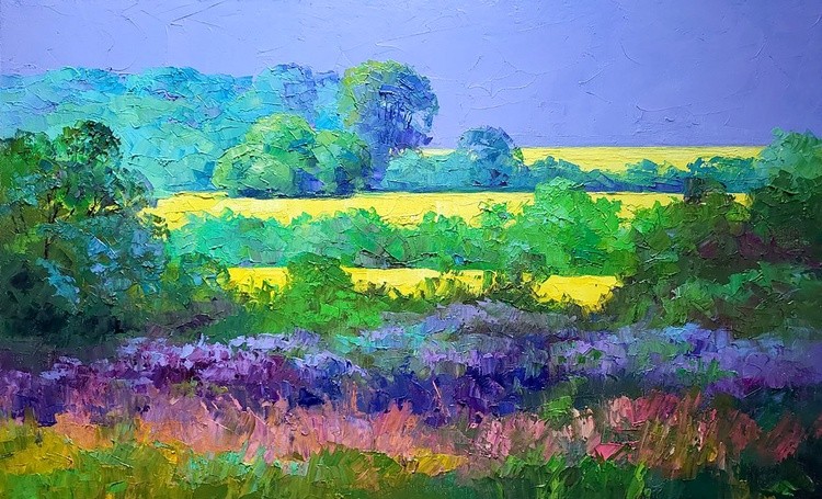 Rapeseed fields