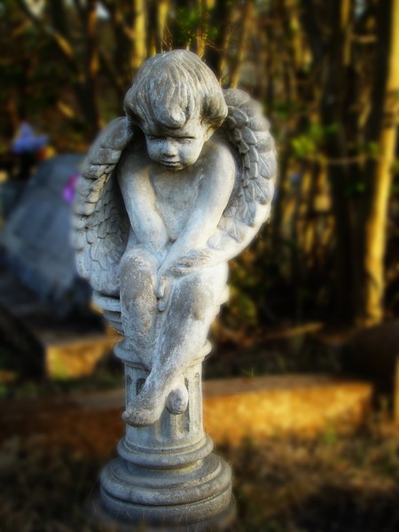 Little Angel