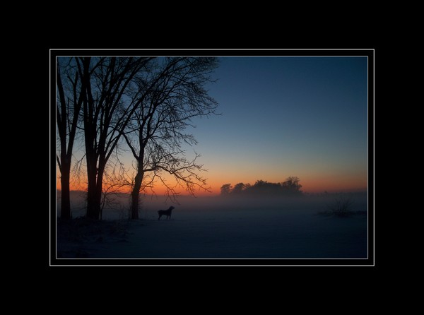 Twilight Watch