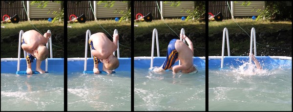 Phelps (Large)