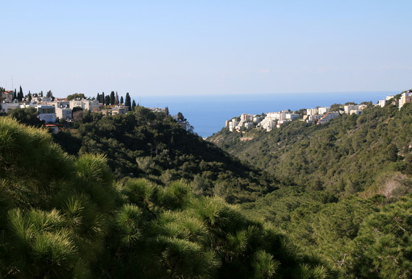 Wadi Lotem