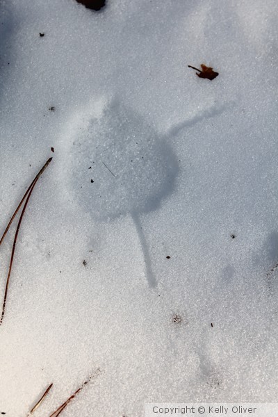 snow impressions