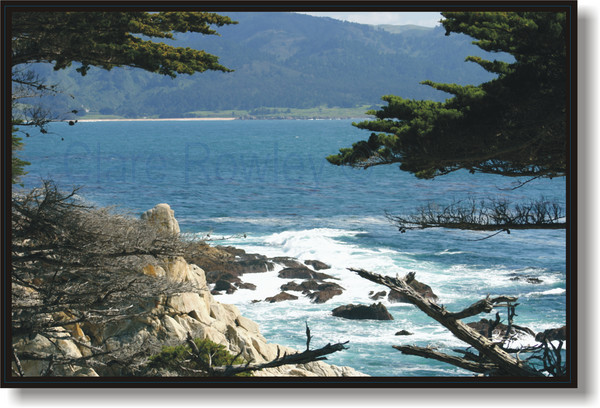 Nature's Frame