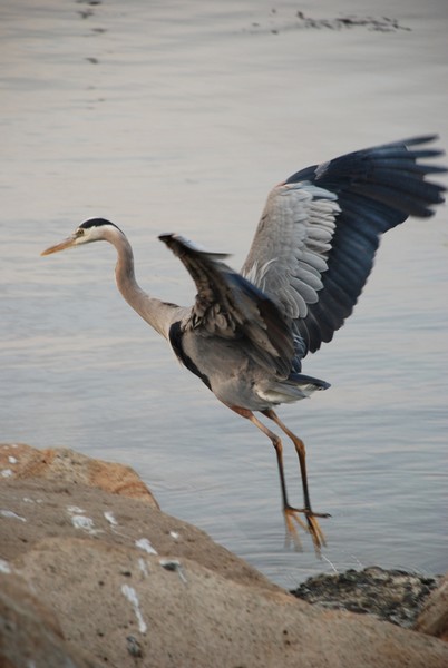 Take Off