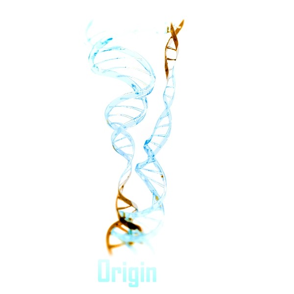 Origin Genetix Logo