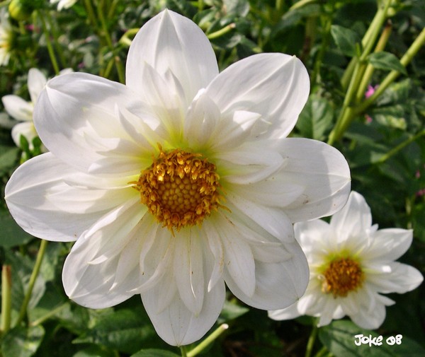 Have al a suny and beautiful weekend 