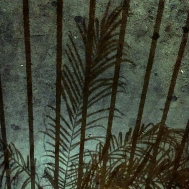 Night Life