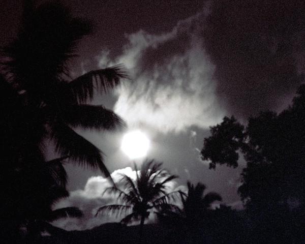 Moonlit Magic
