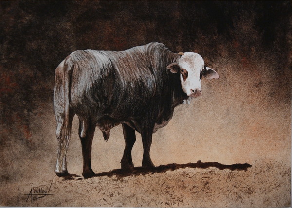 Badger