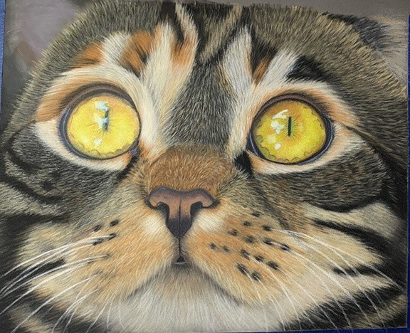 Pastel Cat Drawing