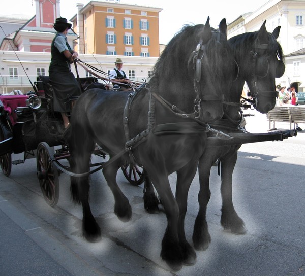 Light Footed Horses