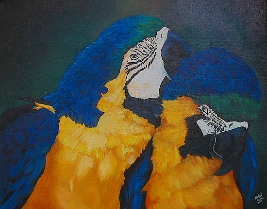 Parrot Love 