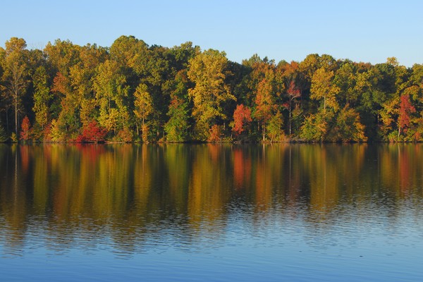 Lums Pond Fall