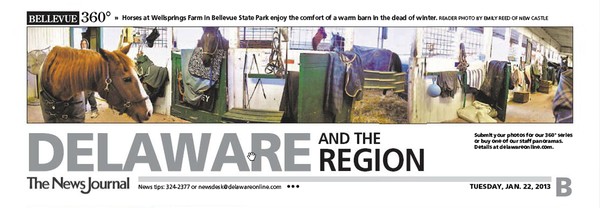 89th News Journal Panorama - Barn Horses