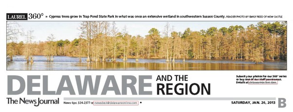 90th News Journal Panorama-Trap Pond Cypress