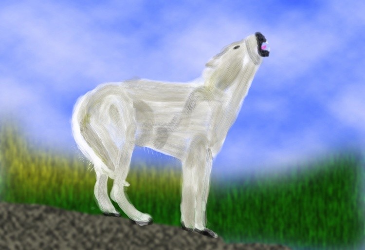 A Wolf Communicating  P361