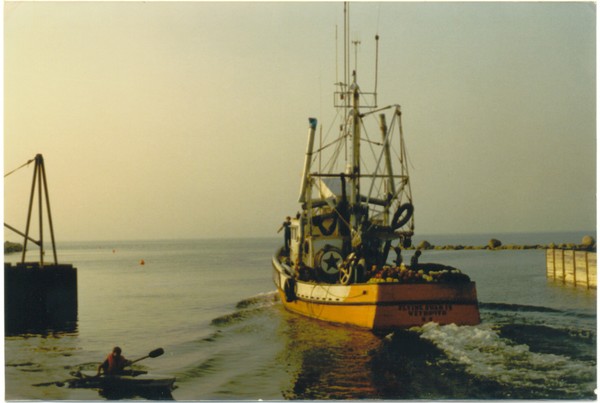 The Flying Swan V