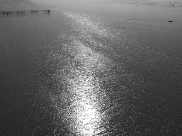 Low Tide