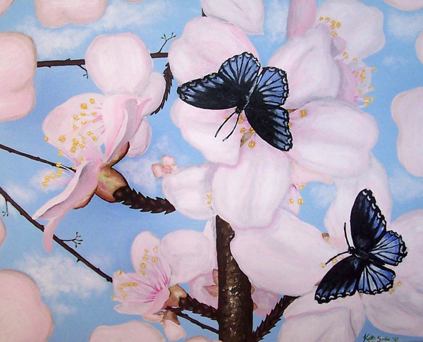 Cherry Blossoms