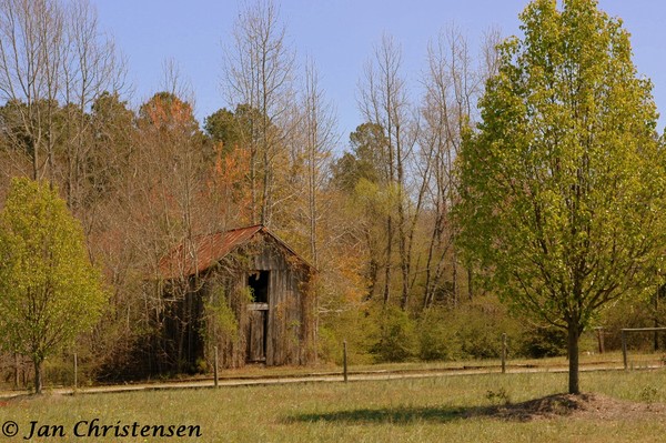 Old Shed