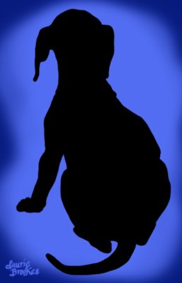 Dog10