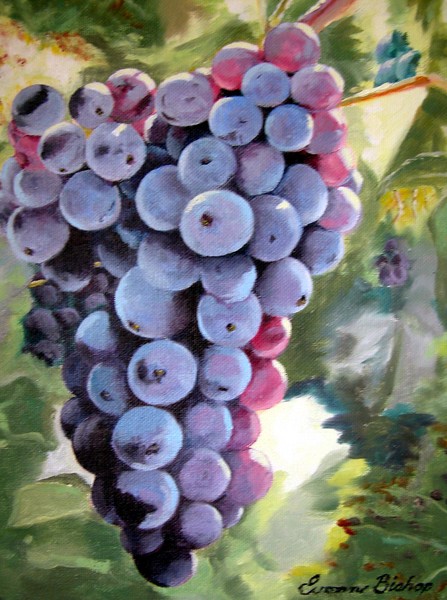 Grapevine Reflection #2