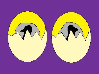 Balut Eyes