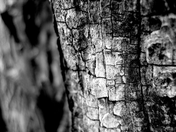 Aged