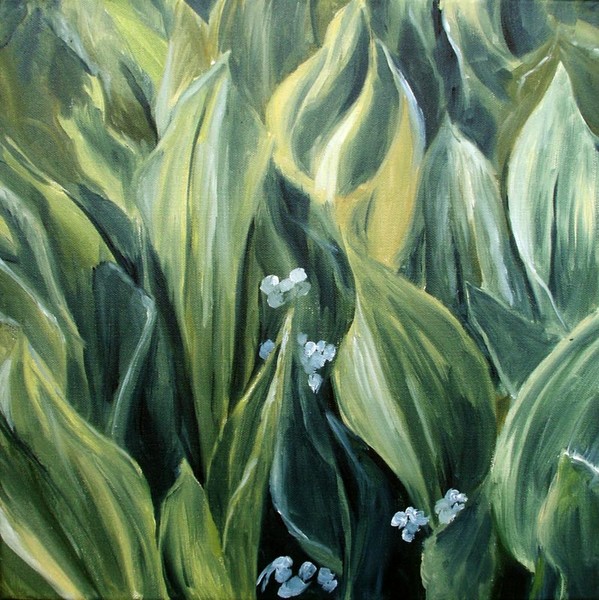 The lily