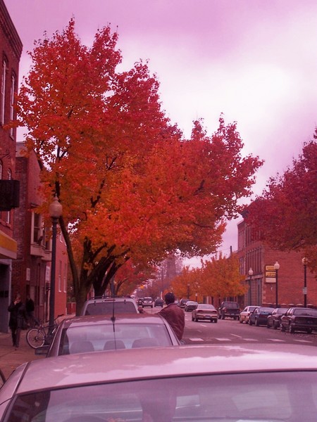 Historic Monroe