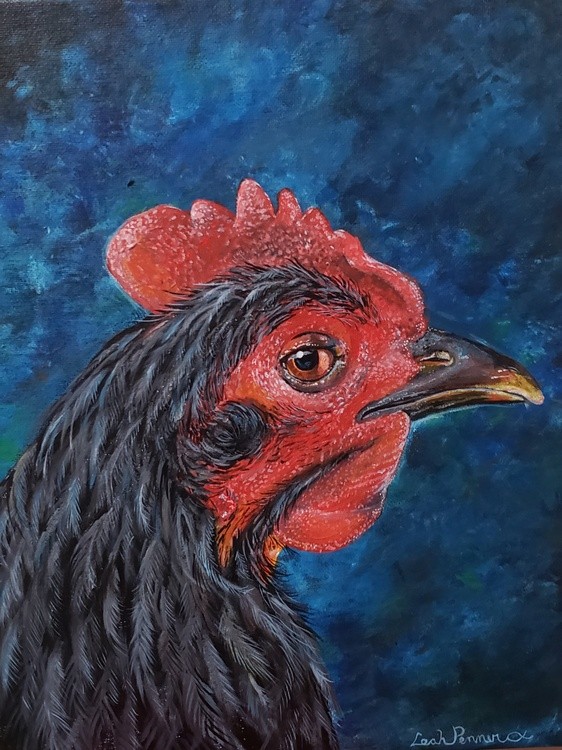 Haughty hen