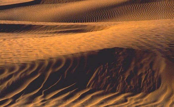 The Great Sand Hills