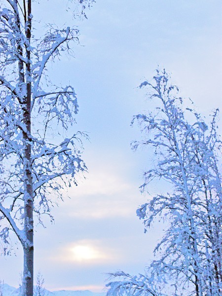January Morning