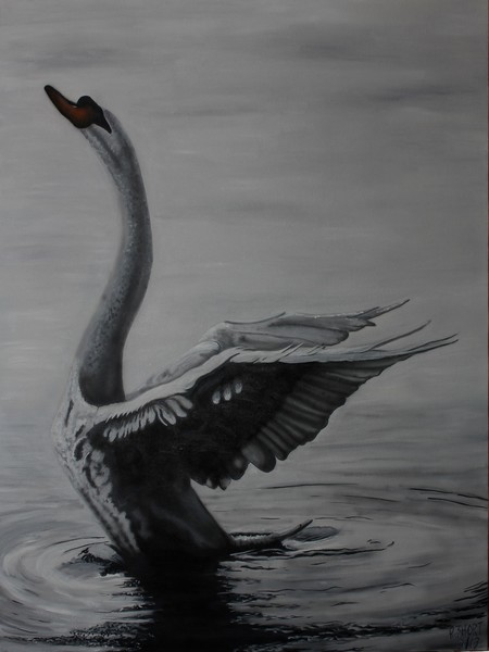 Swan (right)