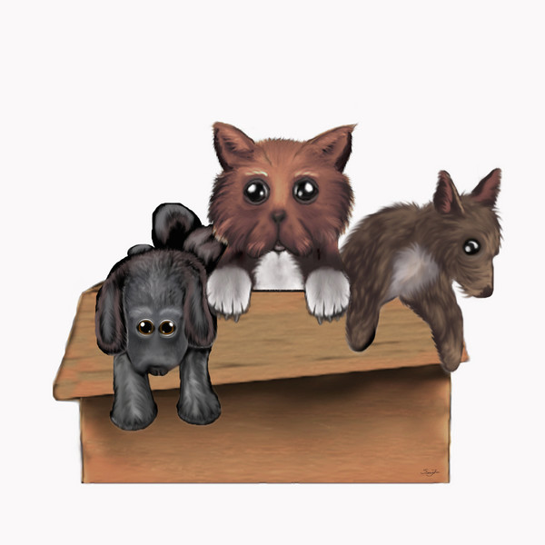 puppies
