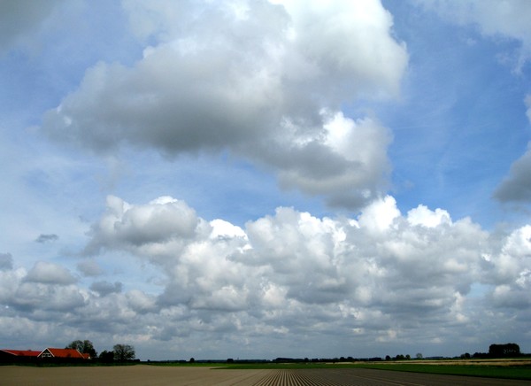 Polder in springtime