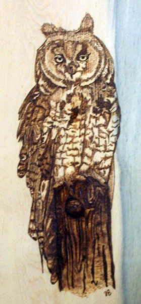 Owl