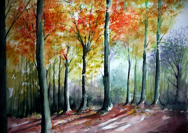 Autumn in Kluisbergen