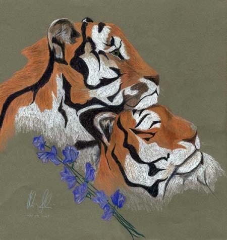 Tiger Love