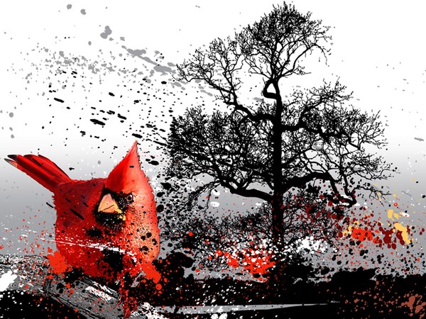Cardinal Giclee