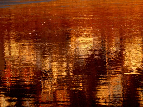 Reflections